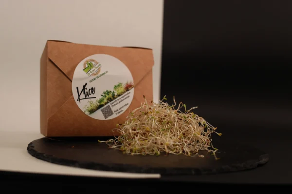 Klice Alfalfa 2 Alfalfa