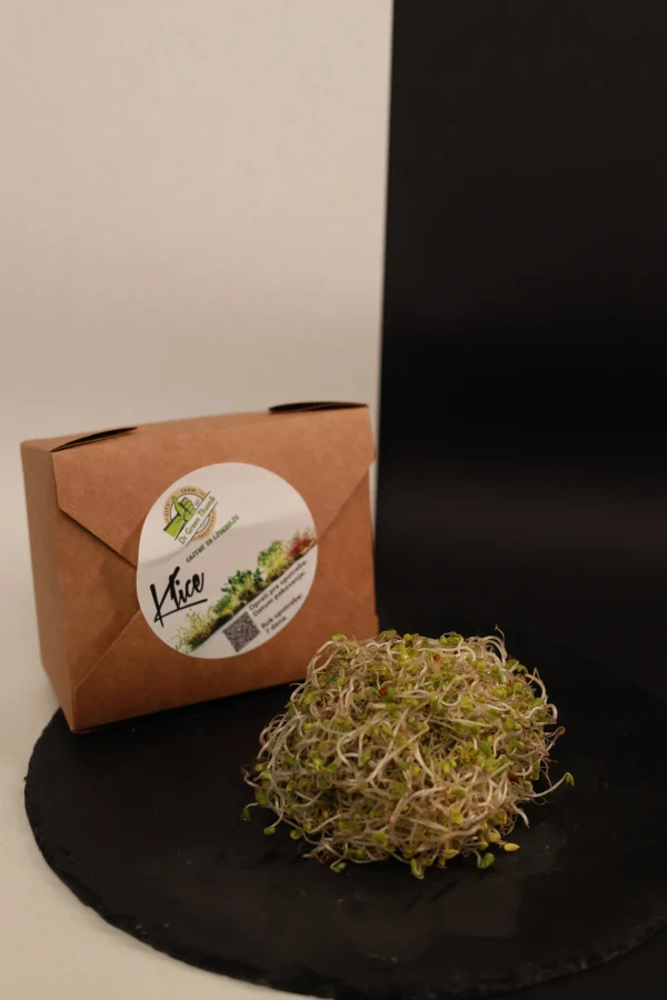 Klice Brokoli (2) Kupus klice