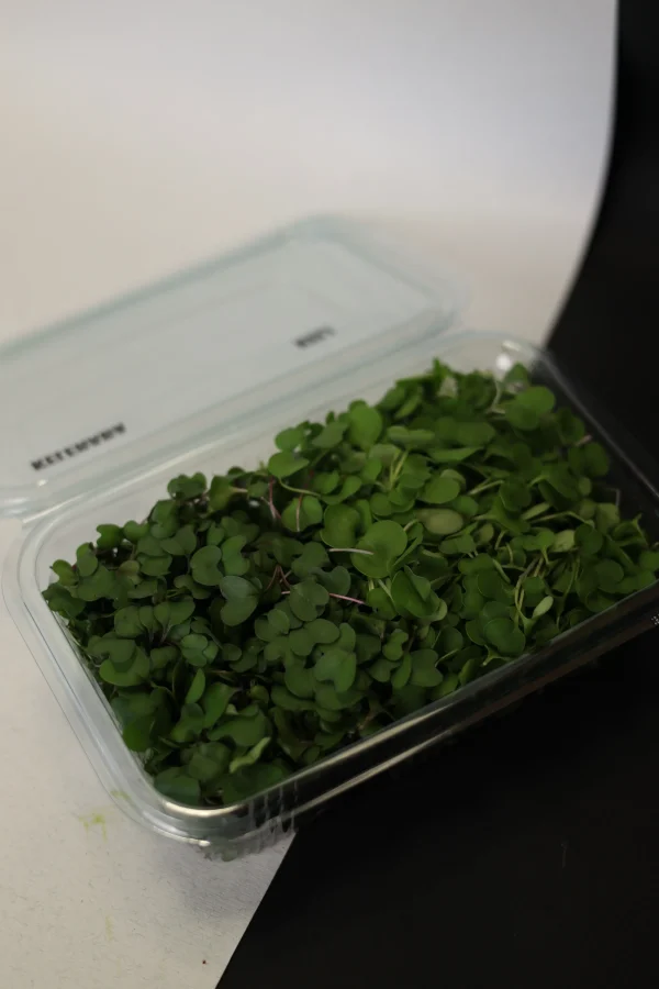 mix mikrobilja (5) Sulforafan MIX