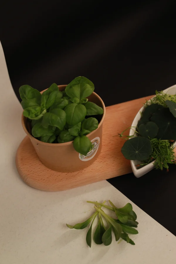 Bust dressing – pikant